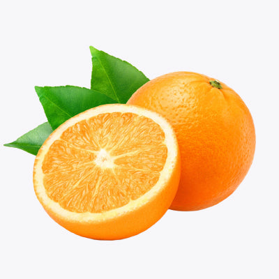 الحمضيات