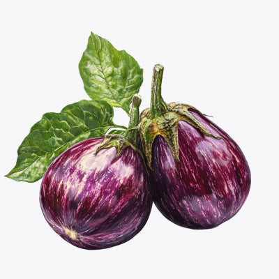 الباذنجان