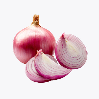 البصل
