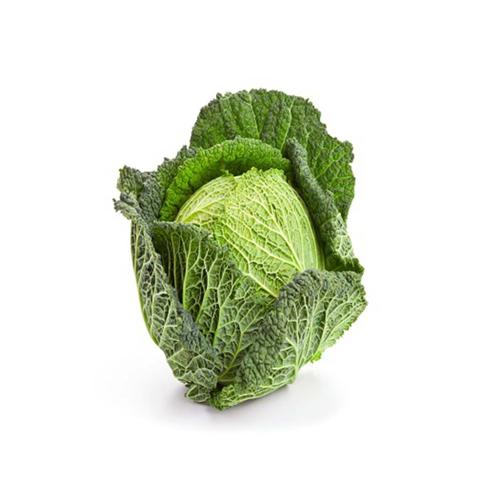 Cabbage Savoy (Holland)