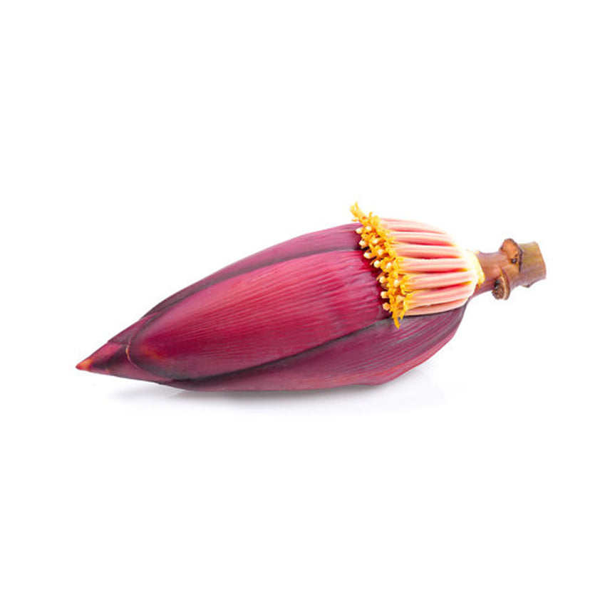 زهرة الموز