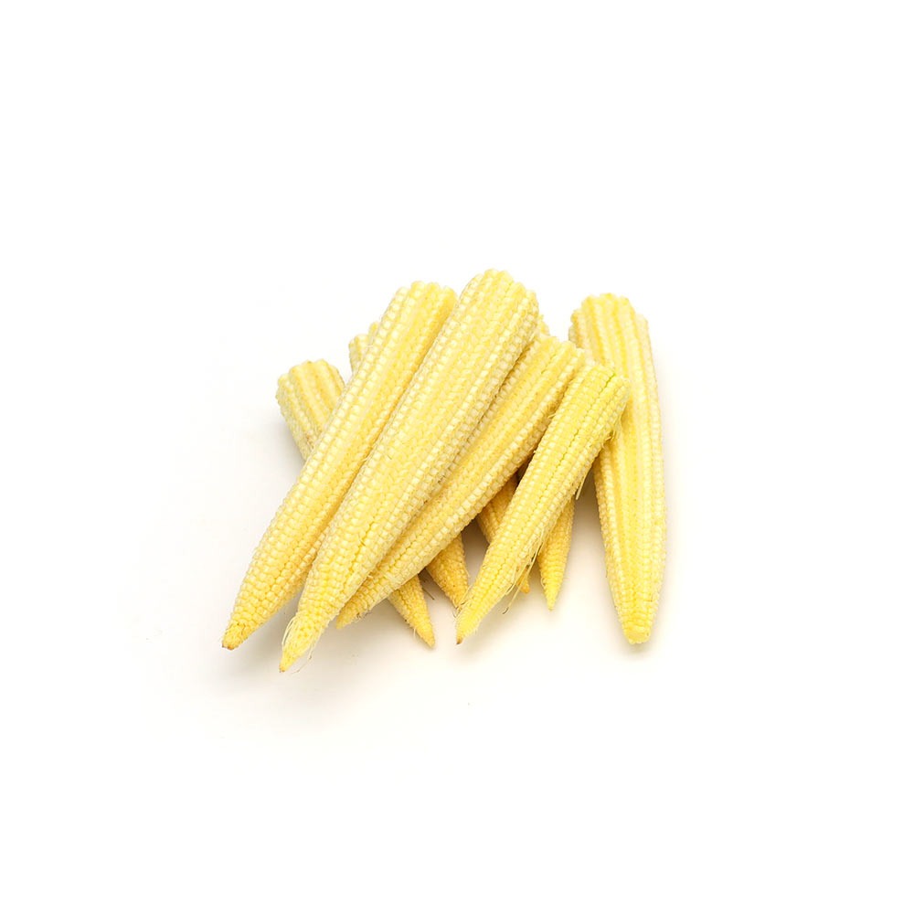ذرة صغيرة