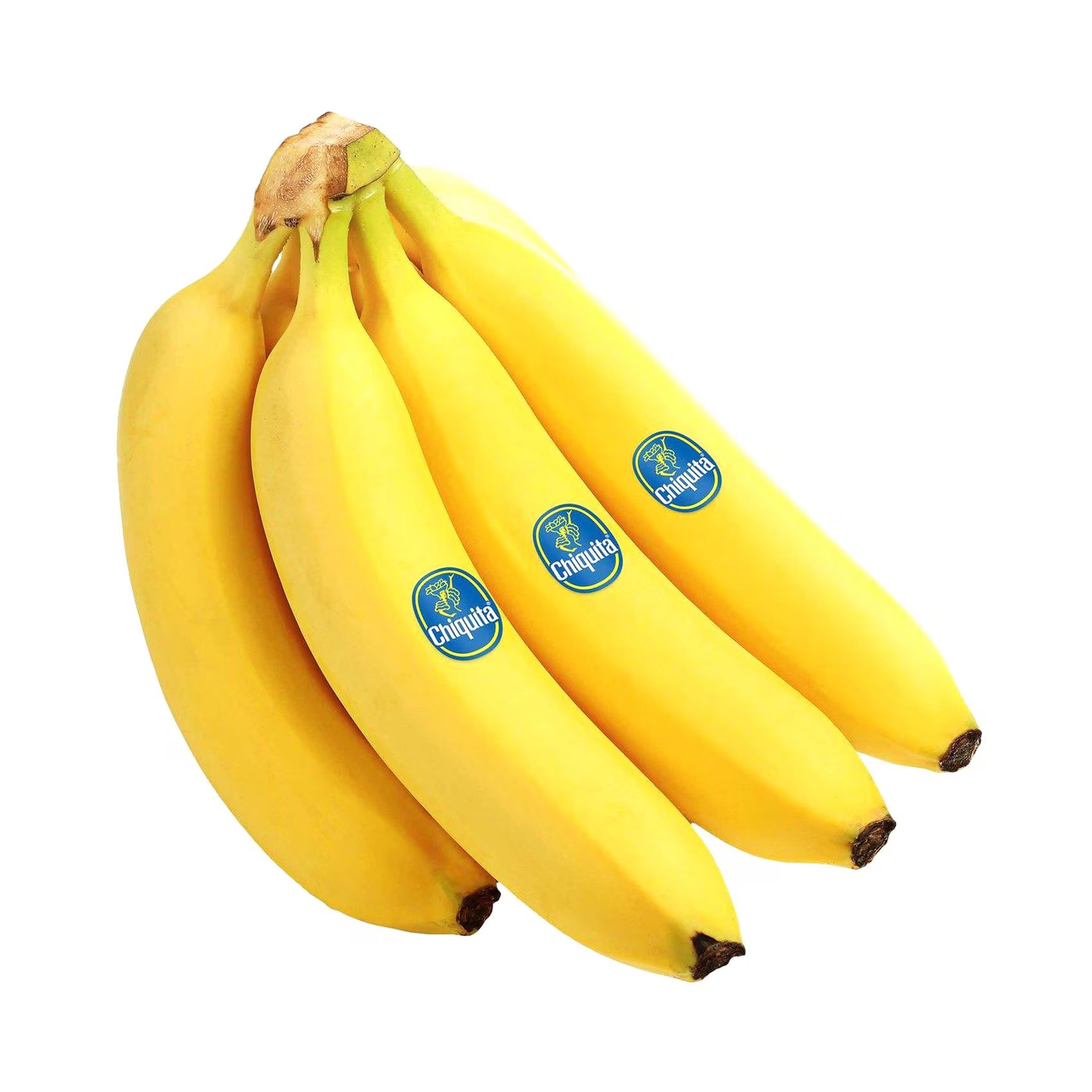 موز تشيكيتا