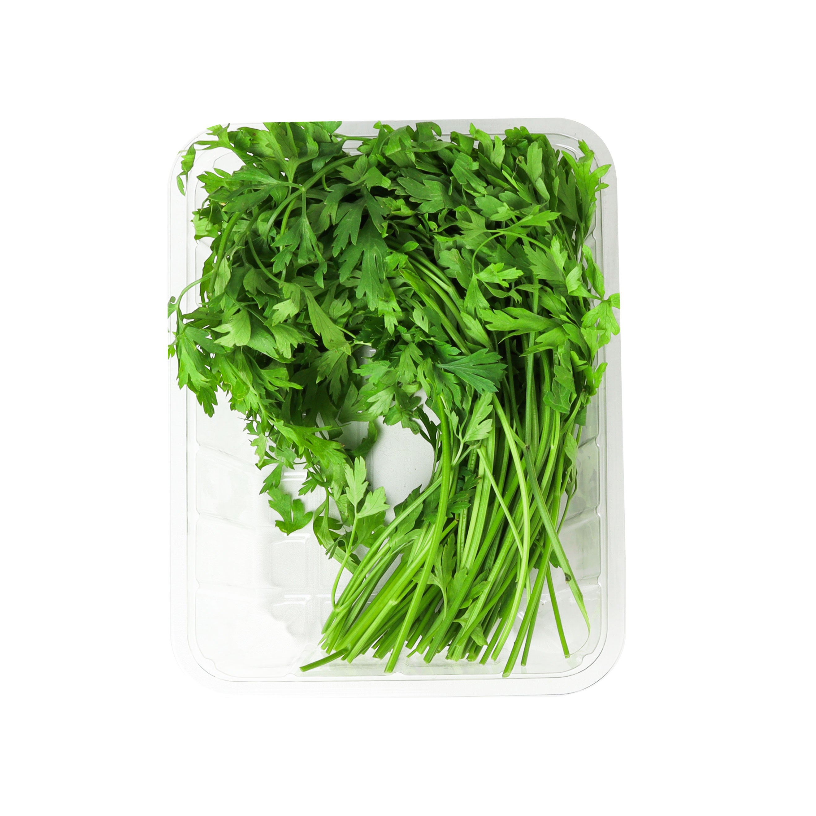 Parsley Leaves