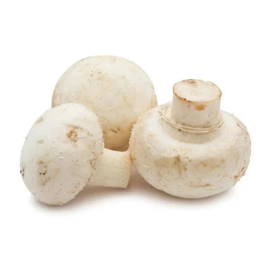 Mushroom Button