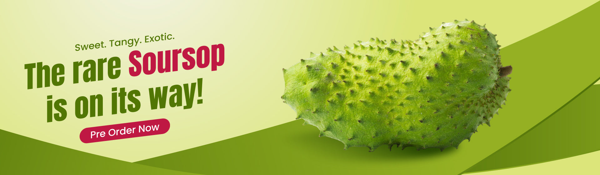 Soursop-Web.jpg
