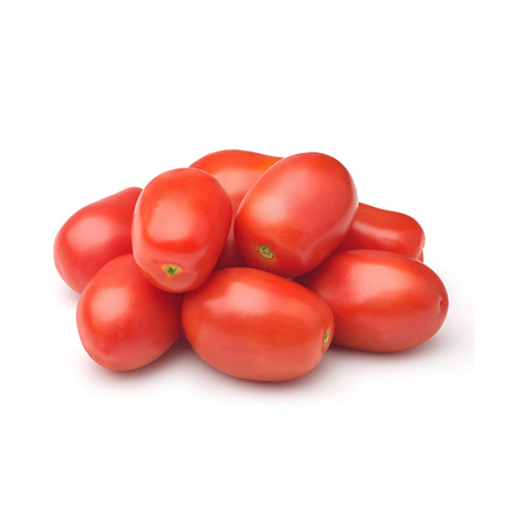 Tomato Cherry Plum Red Holland
