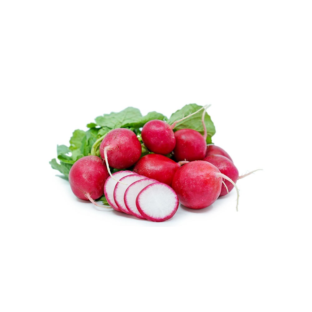 الفجل الأحمر المحلي