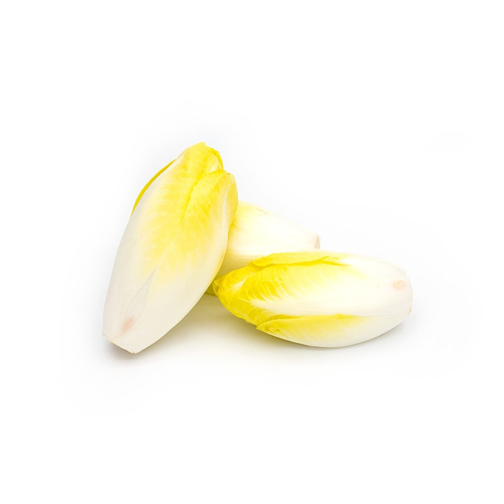 الهندباء البيضاء
