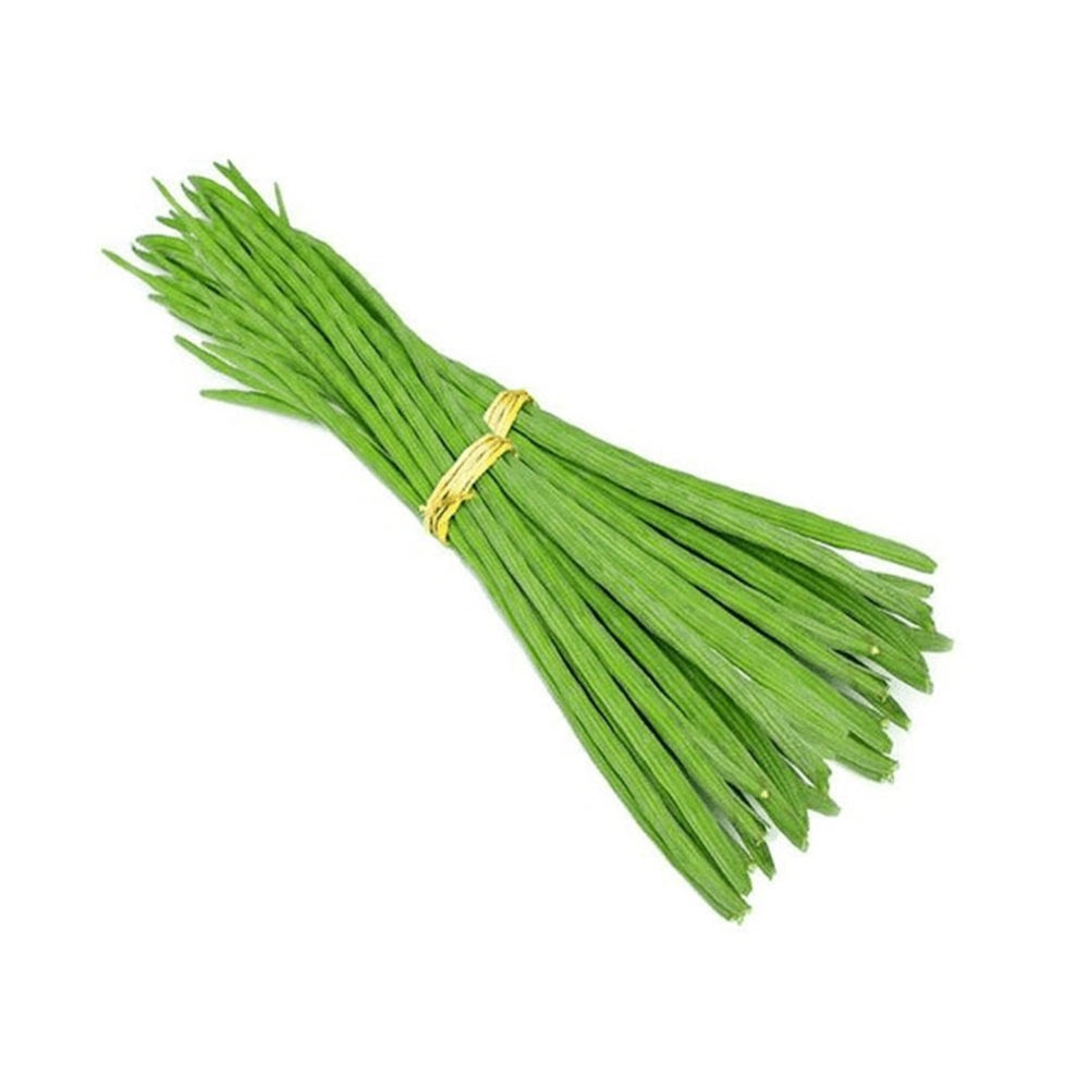 مضرب