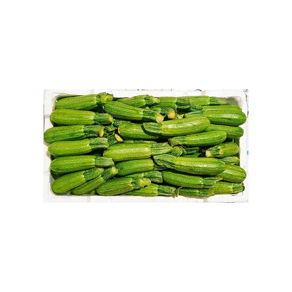 صندوق نخاع الطفل