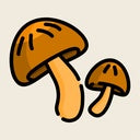 Mushrooms