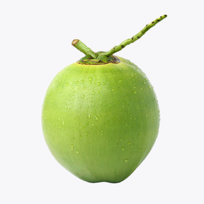 Coconut