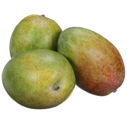 Mango Keitt Egypt