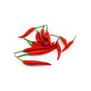 Bird Chilli Red Thailand