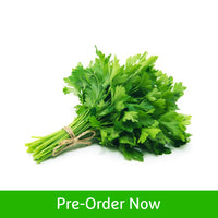 Chervil