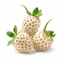 White Strawberry Premium