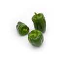 Capsicum Green