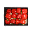 Capsicum Red Box