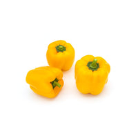 Capsicum Yellow Sanitized