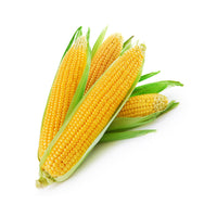 Sweet Corn UAE