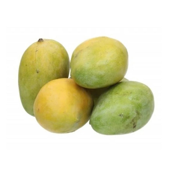Mango Owais Egypt