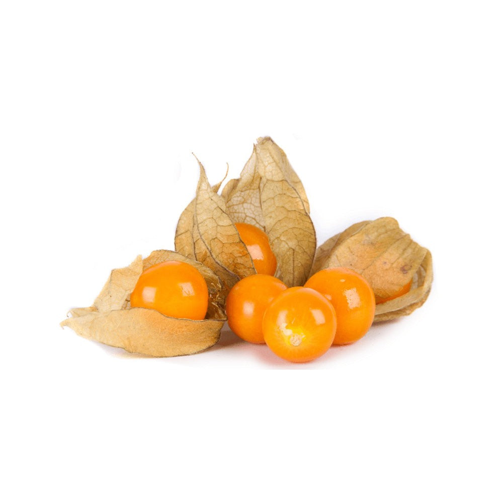 Physalis