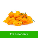 Habanero Chilli Yellow