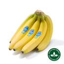 Banana Chiquita Organic