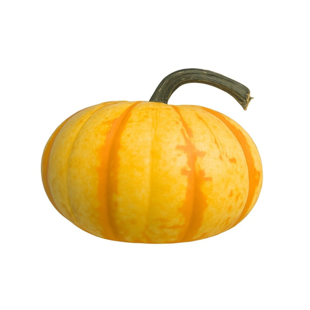 Blaze Pumpkins