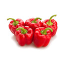 Capsicum Red