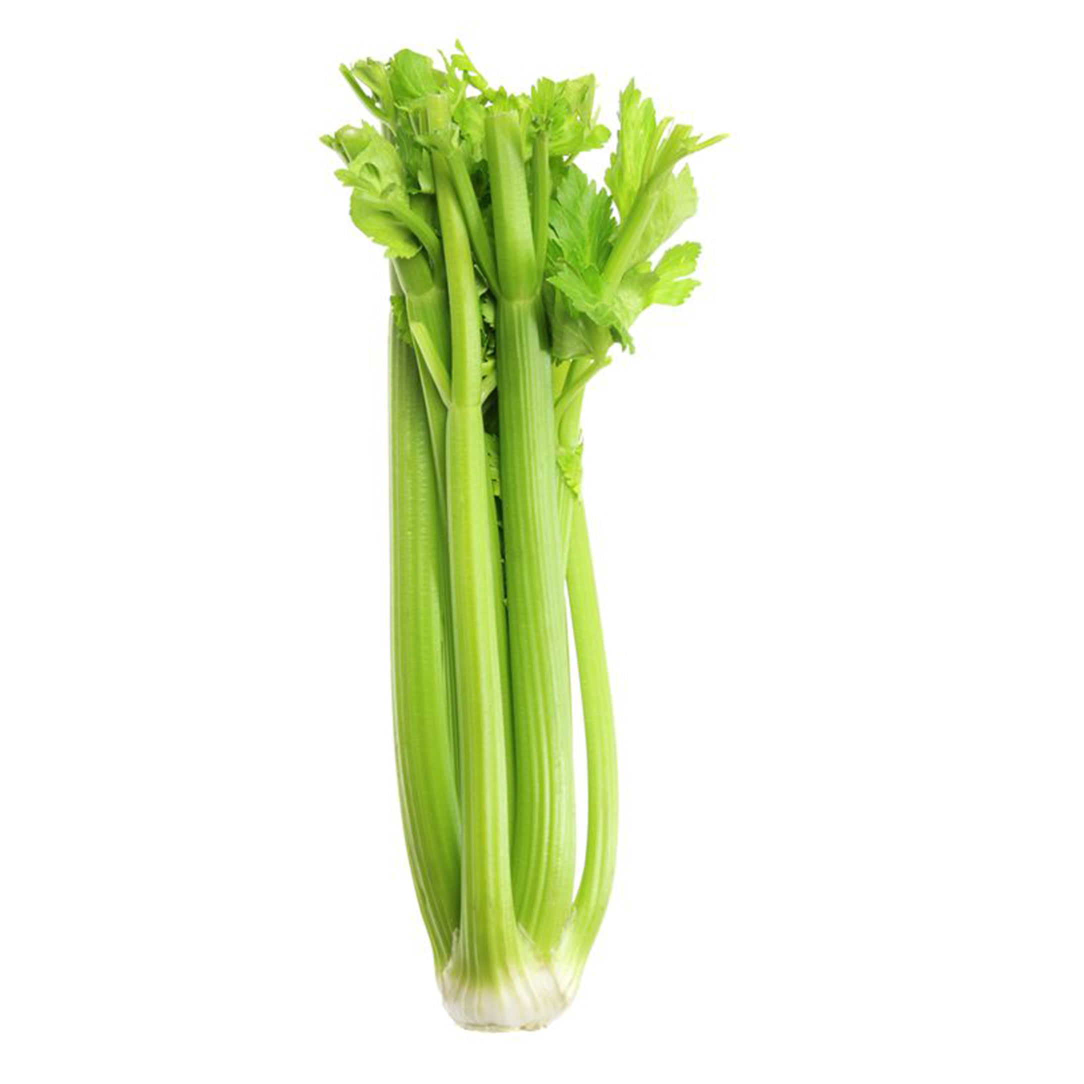 الكرفس (إيران) 