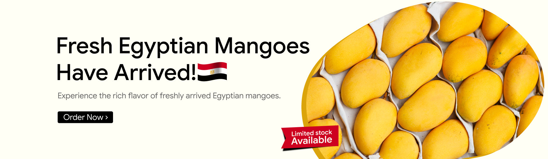 Fresh-Egyptian-Mangoes-banner.jpg