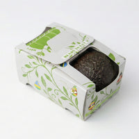 Avocado – Ready to Eat