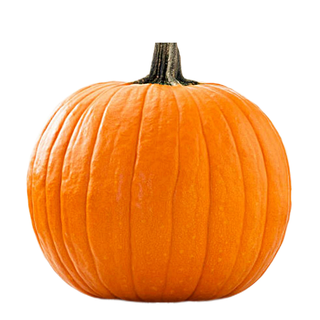 Large Pumpkins