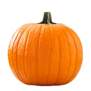 Large Pumpkins