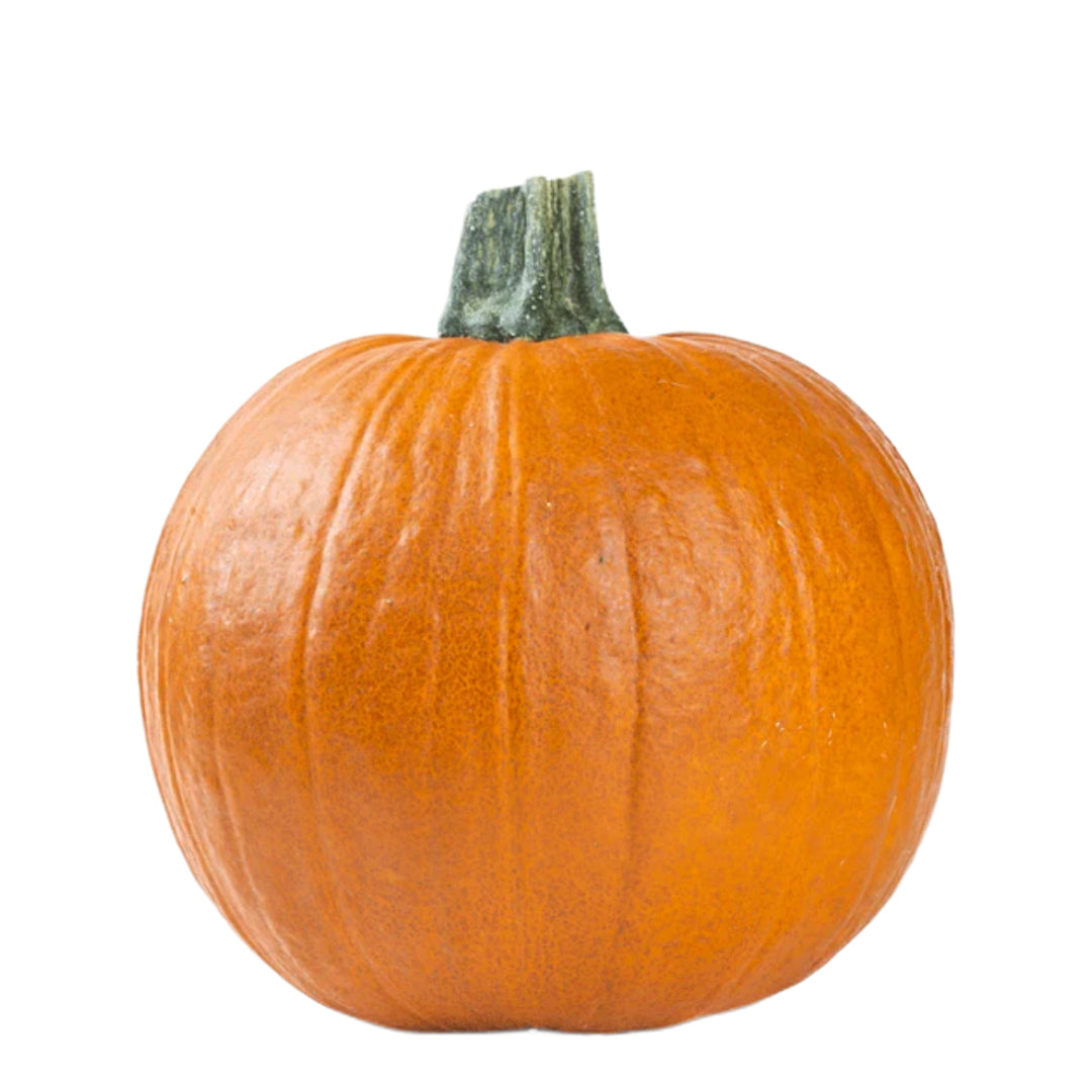 Small Pumpkin