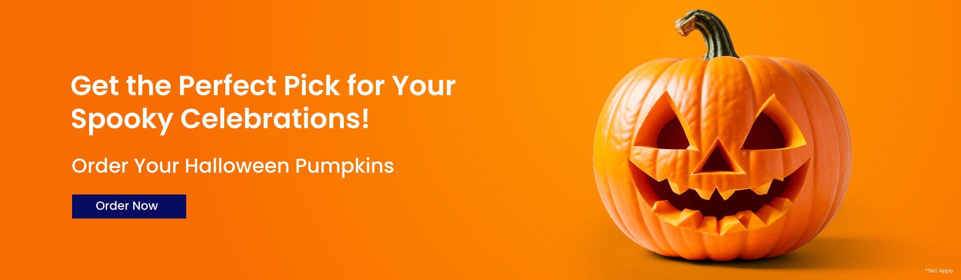 Halloween-Pumpkins.jpg