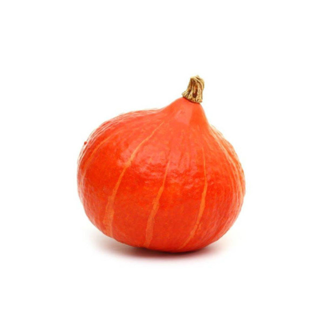 Hokkaido Pumpkin