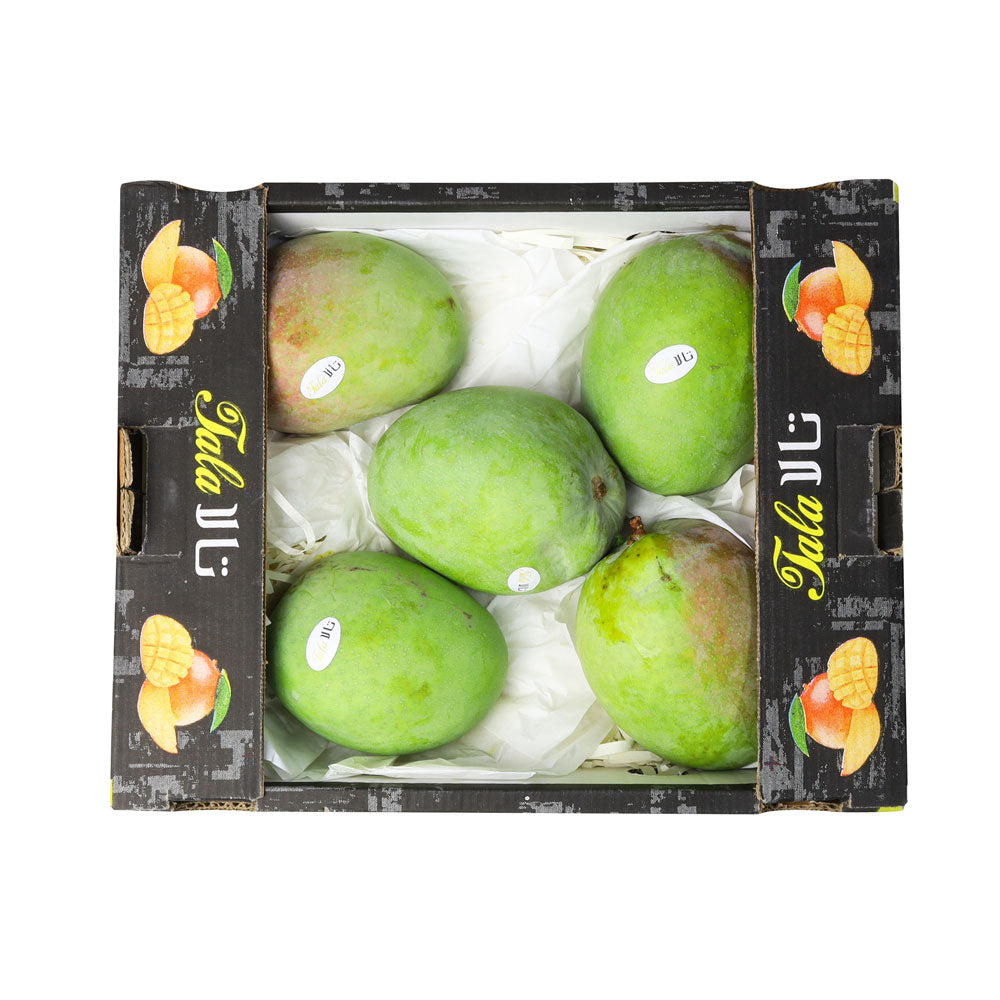 Mango R2E2 Egypt Box