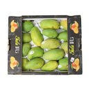 Mango Owais Egypt Box