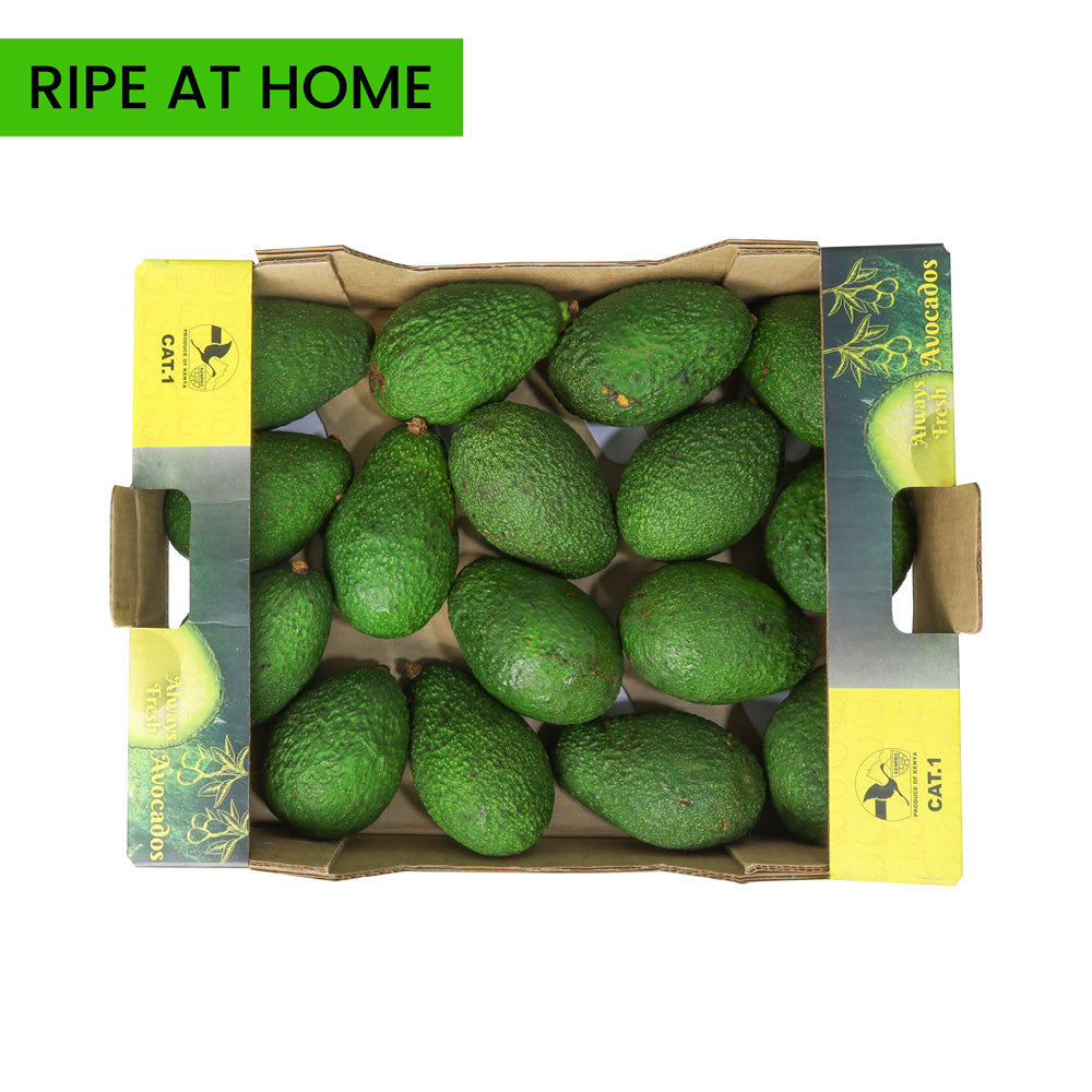 Avocado Hass Kenya  Box