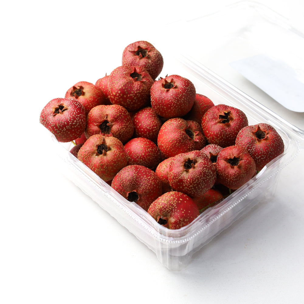 Hawthorn Fruit