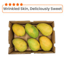 Mango Chaunsa Box