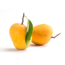 Mango Alphonso Premium