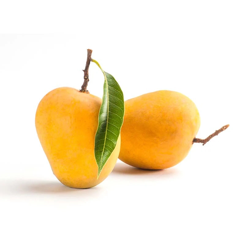 Mango Alphonso Premium