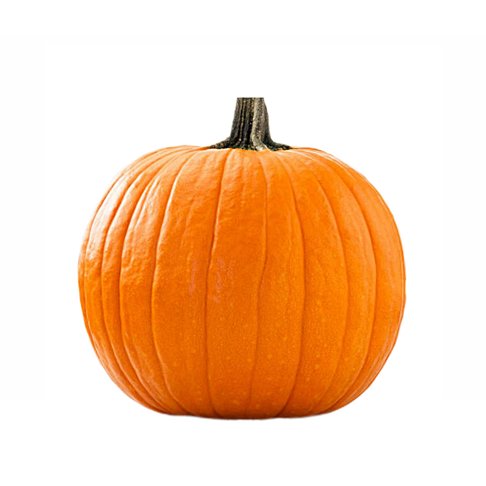 Medium Pumpkins