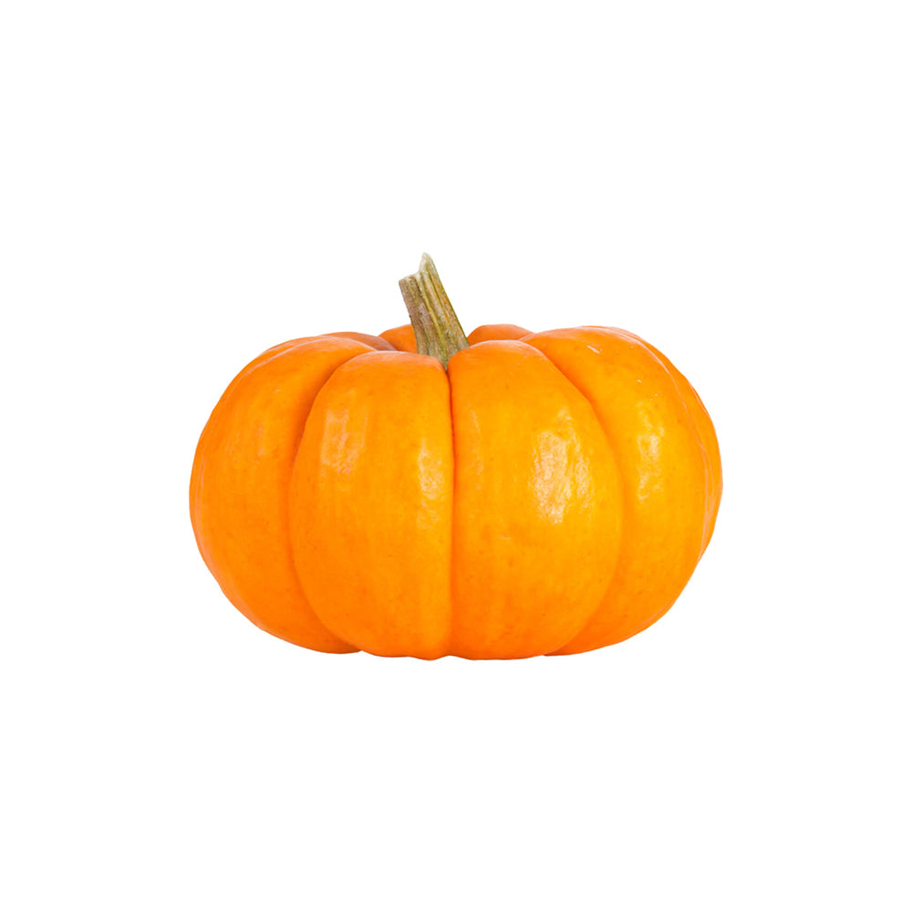 Orange Mini Pumpkins