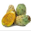 Prickly Pears