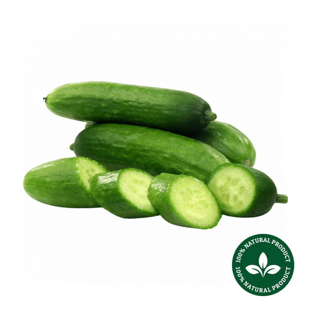 Snack Cucumber Organic